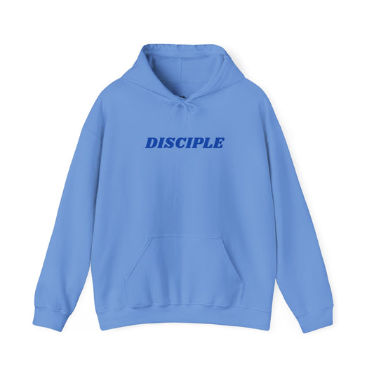 Disciple- Fish for People Hoodies Grey, Blue, and Green